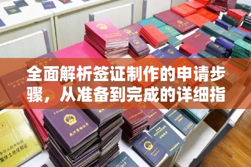 头份全面解析签证制作的申请步骤，从准备到完成的详细指南